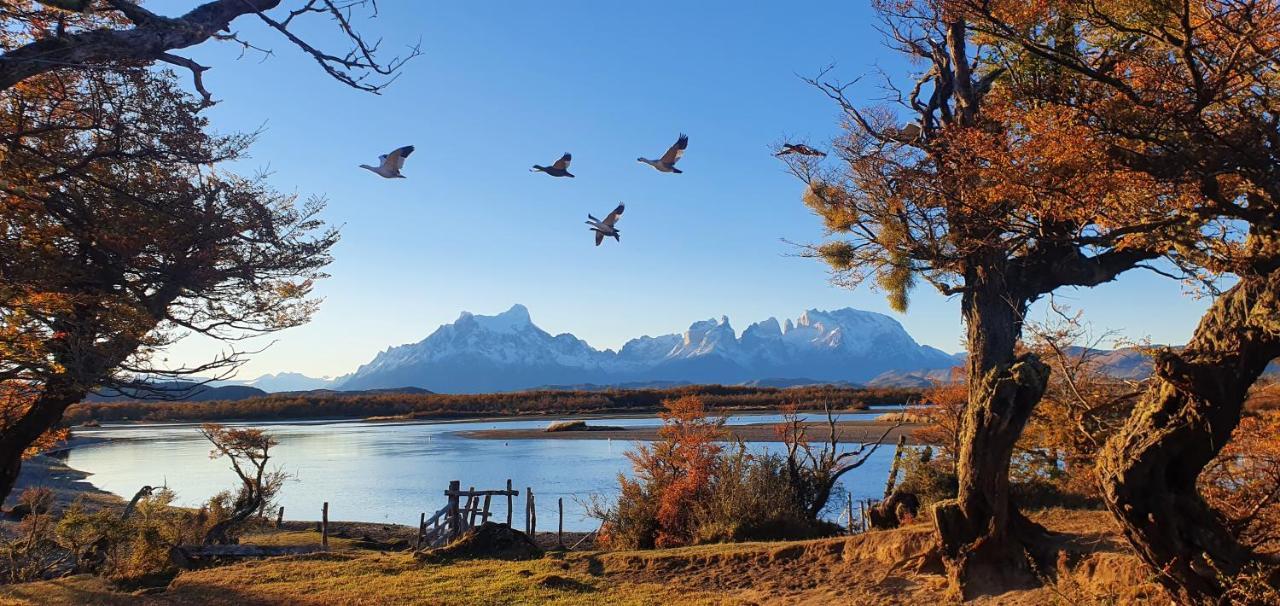 Morrena Lodge Torres del Paine National Park Kültér fotó